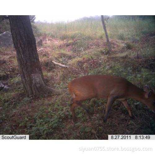 12MP HD 8 in 1 Black IR Hunting Camera